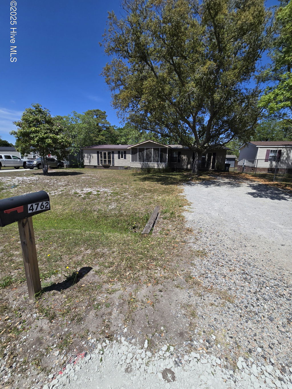 Media Image 1