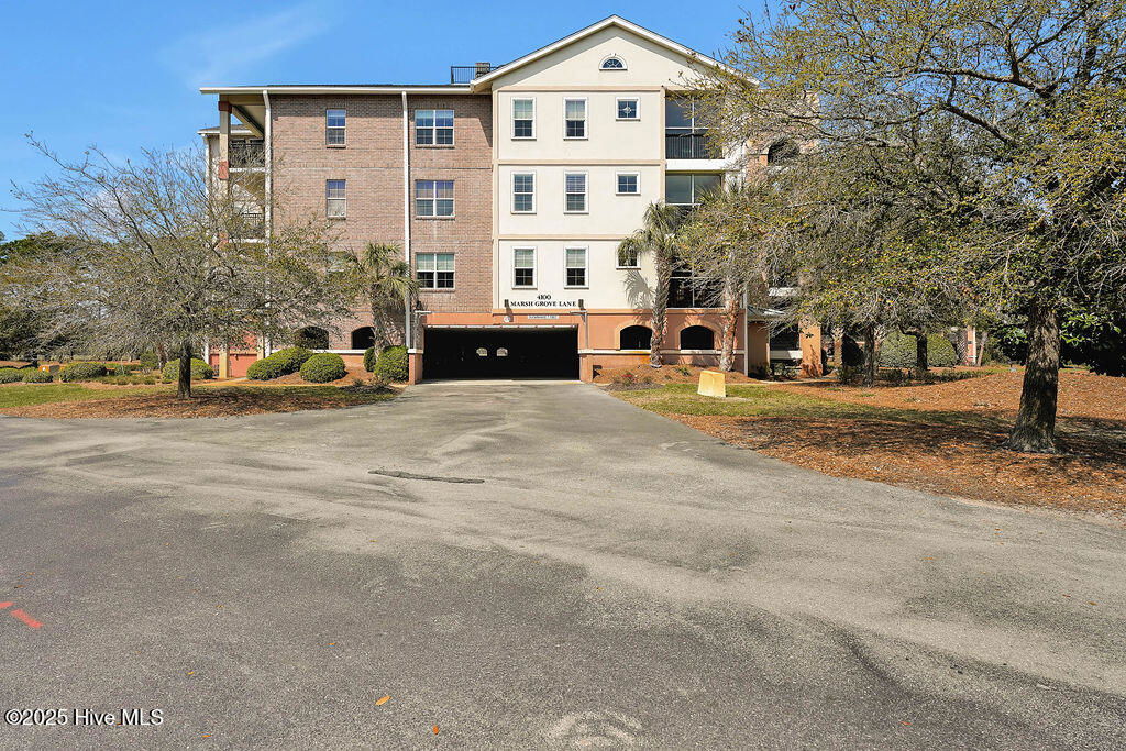 Media Image 1