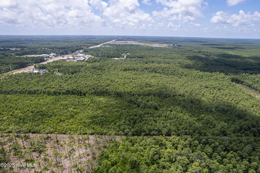 Media Image 2