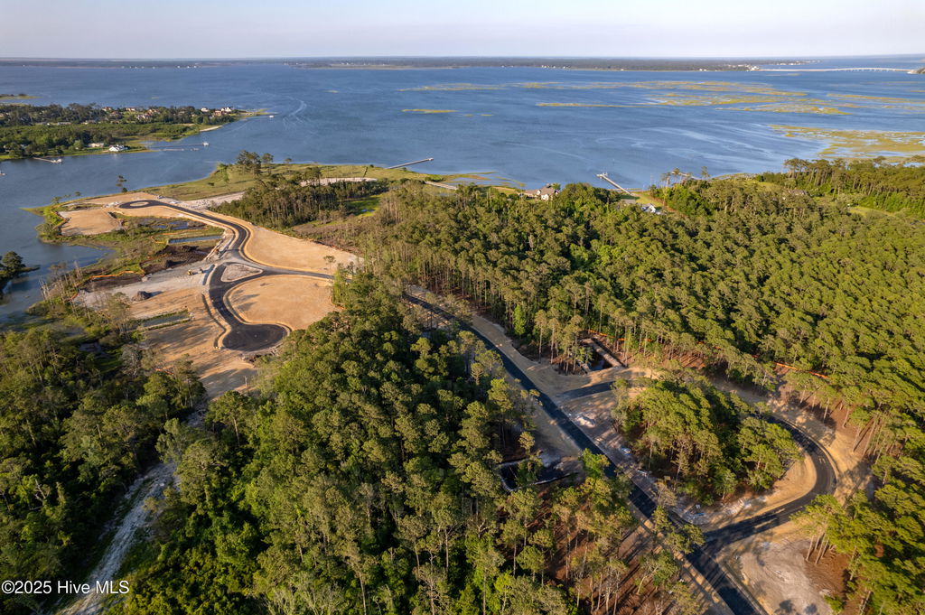 Media Image 1