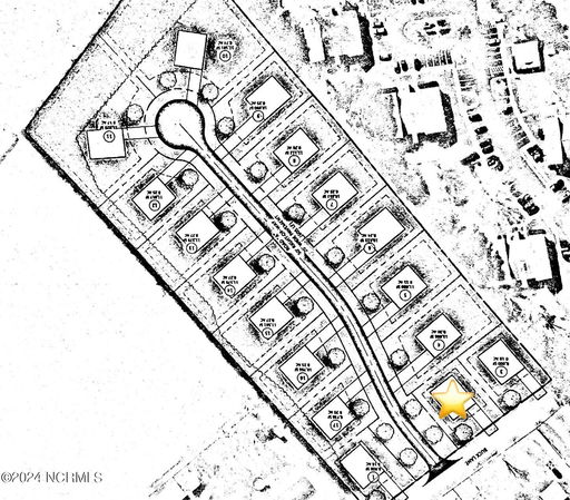 Media Image 3