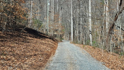 Media Image 3