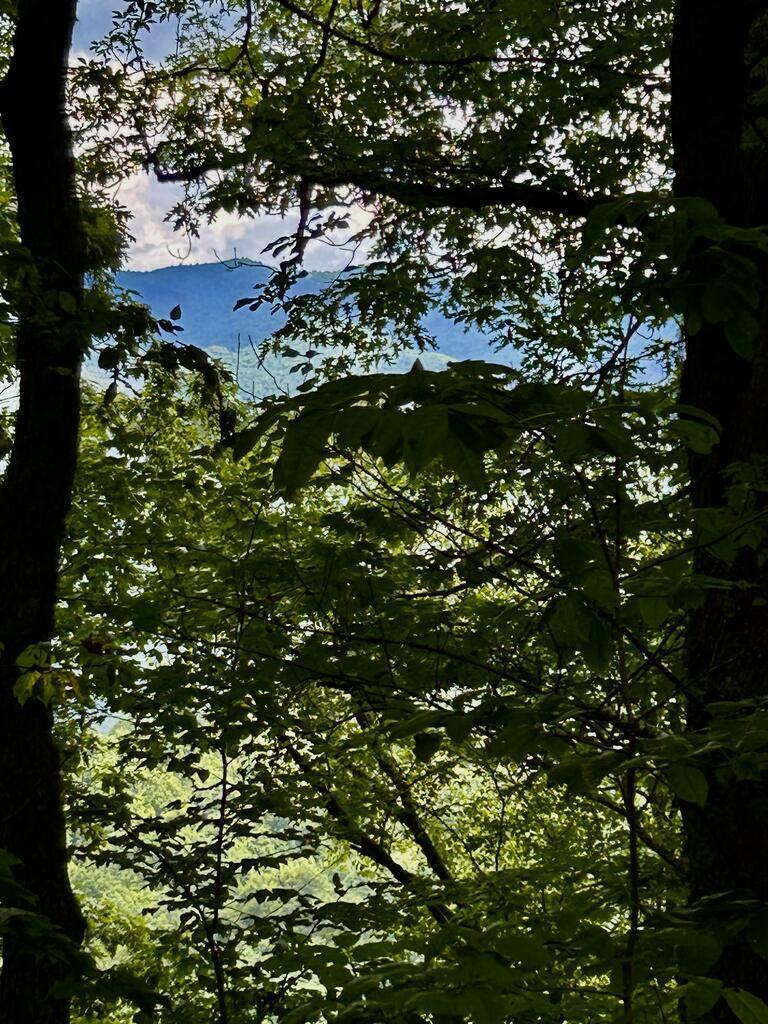 Image Unavailable