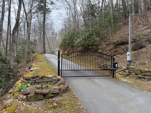 Media Image 2