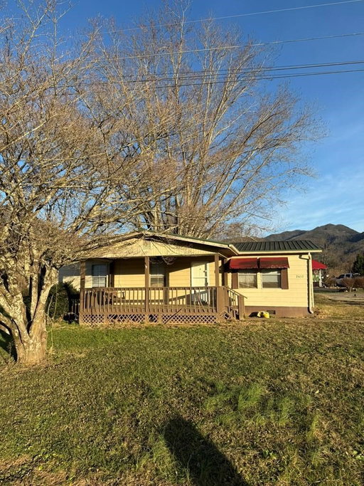 Media Image 2