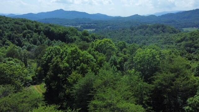 Image Unavailable