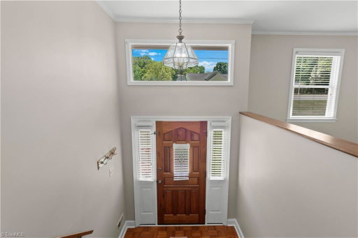 Media Image 3