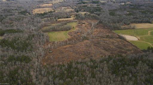 Media Image 2