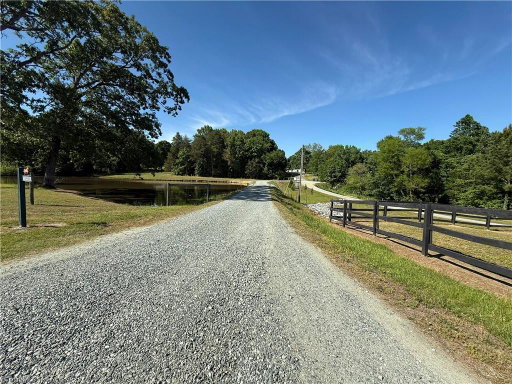 Media Image 2