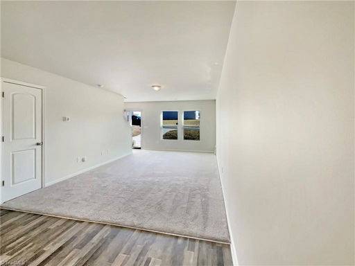 Media Image 3