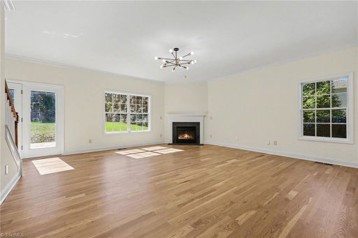 Media Image 3
