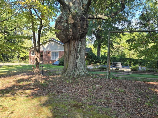 Media Image 3