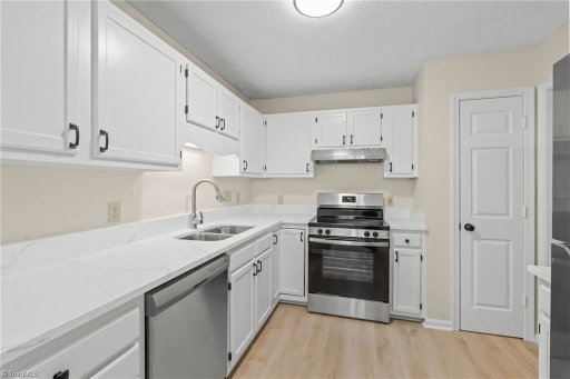 Media Image 3