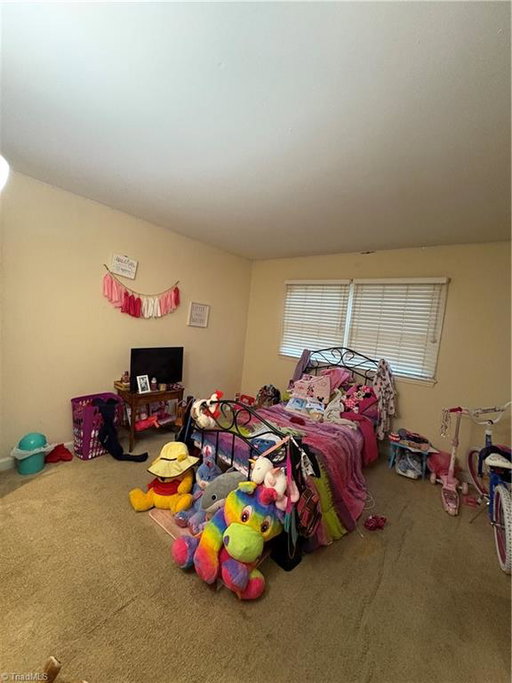 Media Image 3