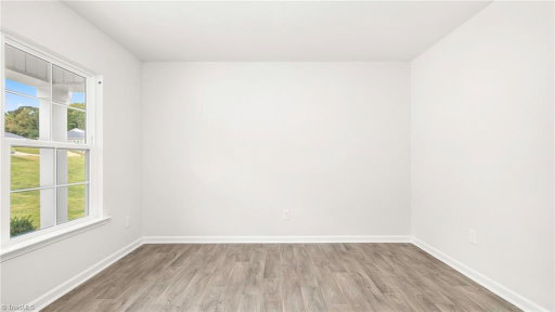 Media Image 2