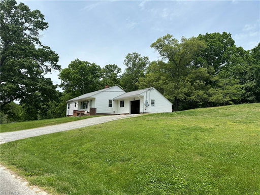 Media Image 3
