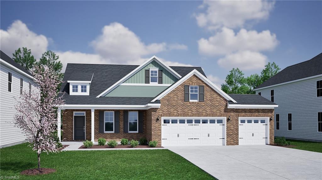 Media Image 1