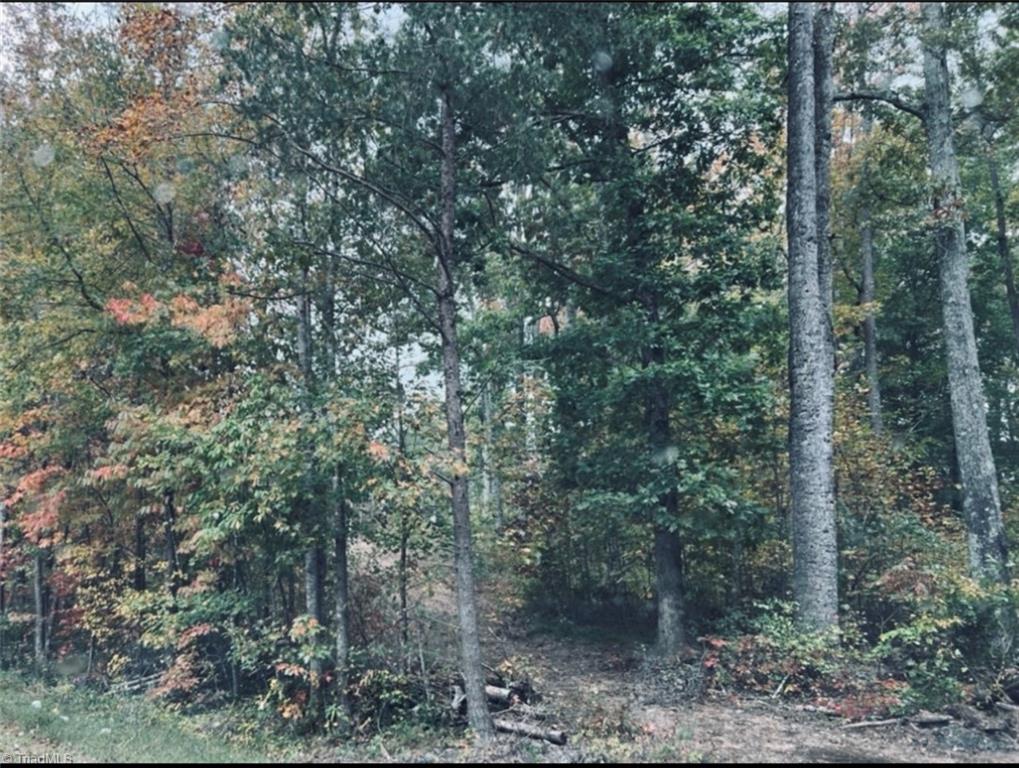 Image Unavailable