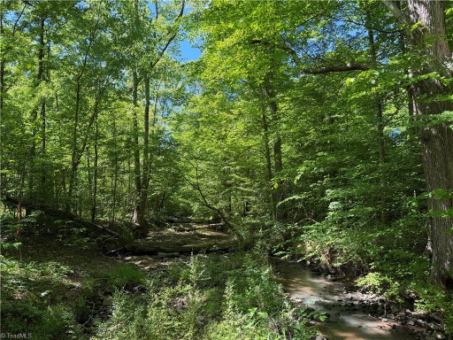 Media Image 3
