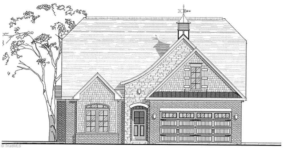 Media Image 1