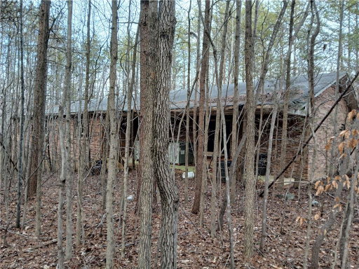 Media Image 2