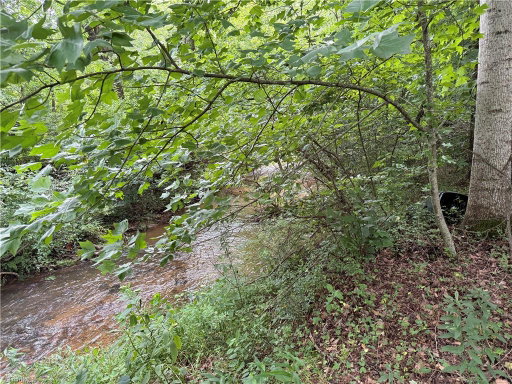Media Image 2