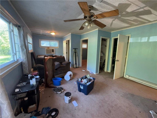 Media Image 2