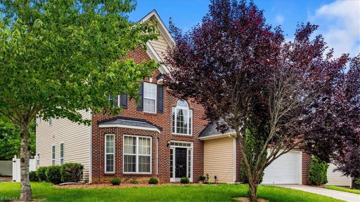 Media Image 3