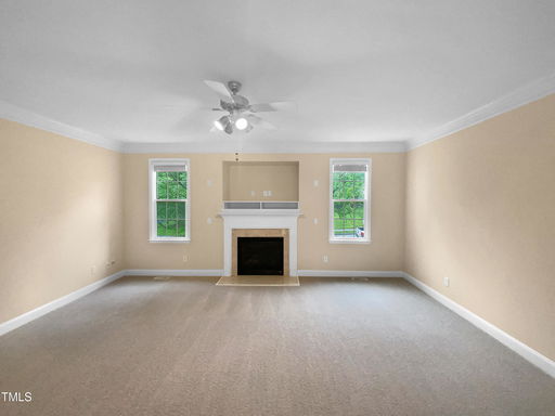 Media Image 3