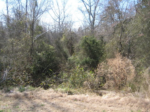 Media Image 2