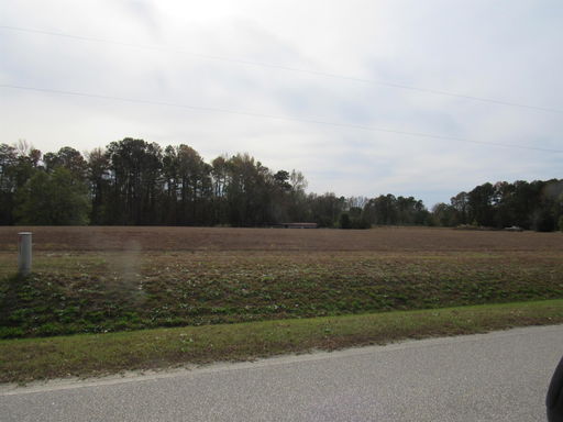Media Image 2