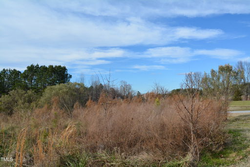 Media Image 2