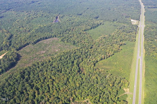 Media Image 3