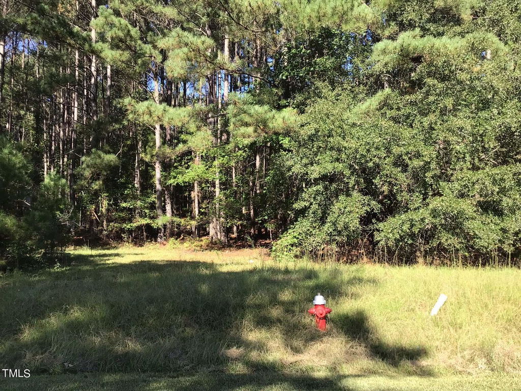 Image Unavailable