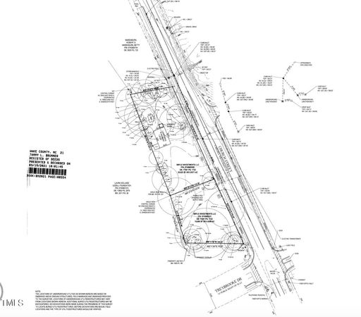 Media Image 2