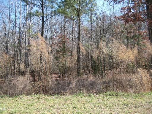 Media Image 3