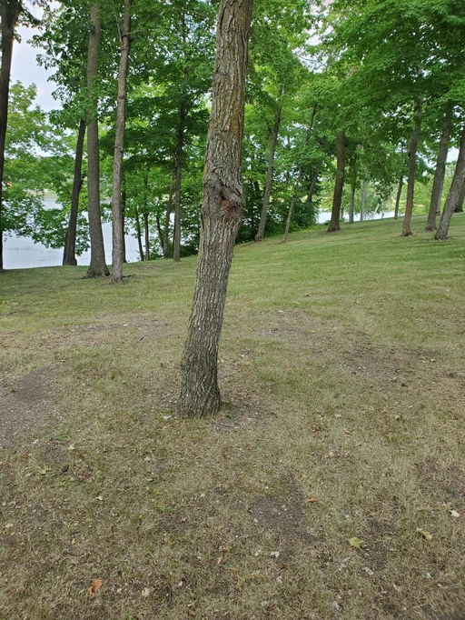 Media Image 2