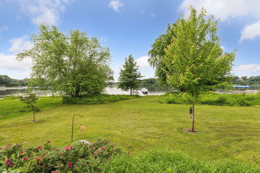 Media Image 3