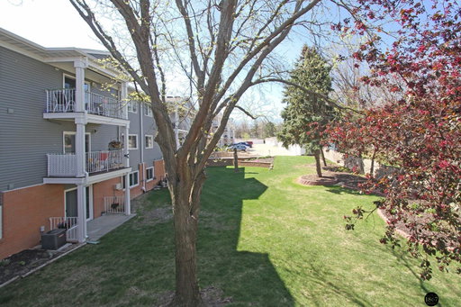 Media Image 3