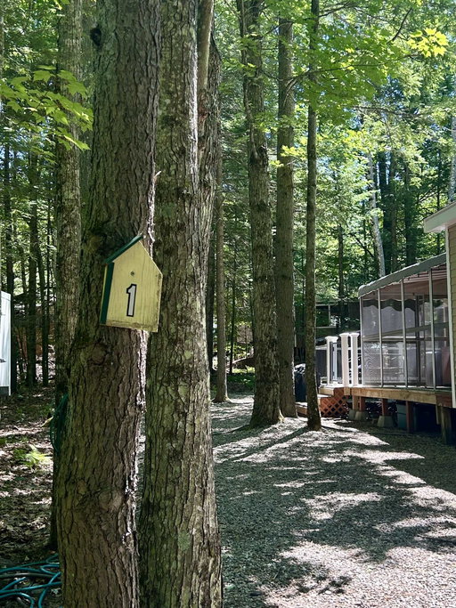 Media Image 2