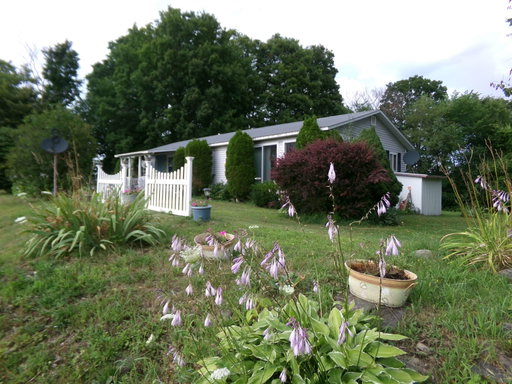 Media Image 3