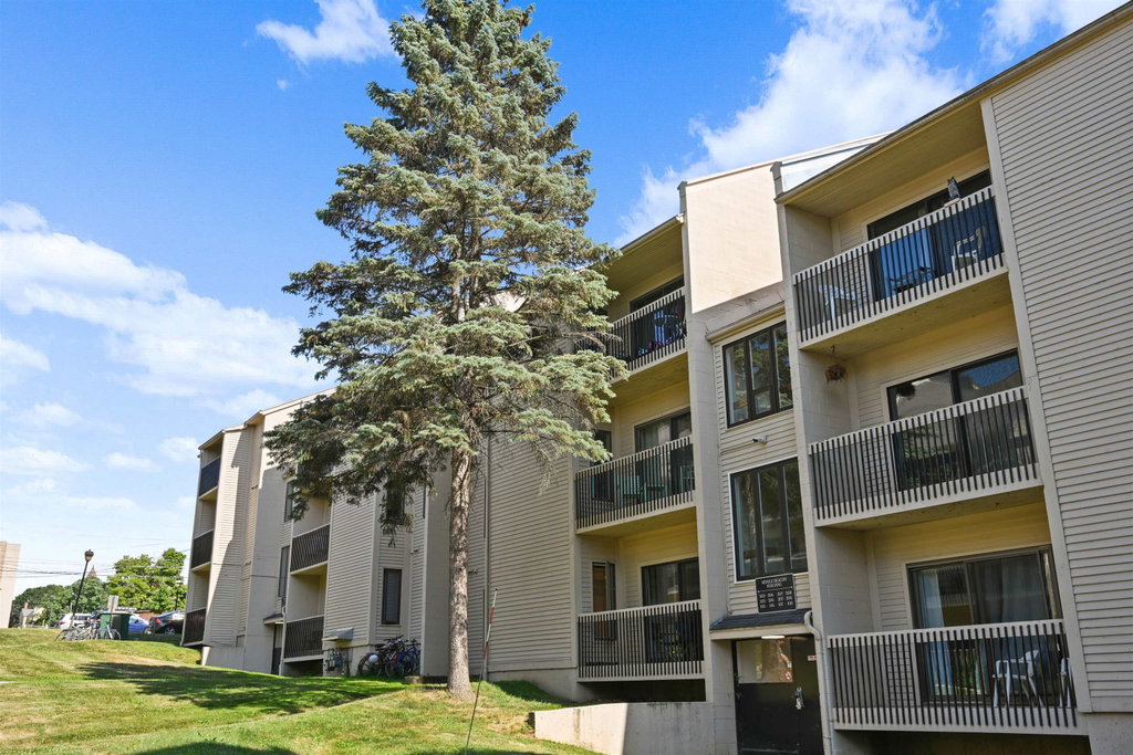 Media Image 1