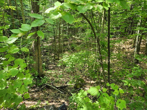 Media Image 2