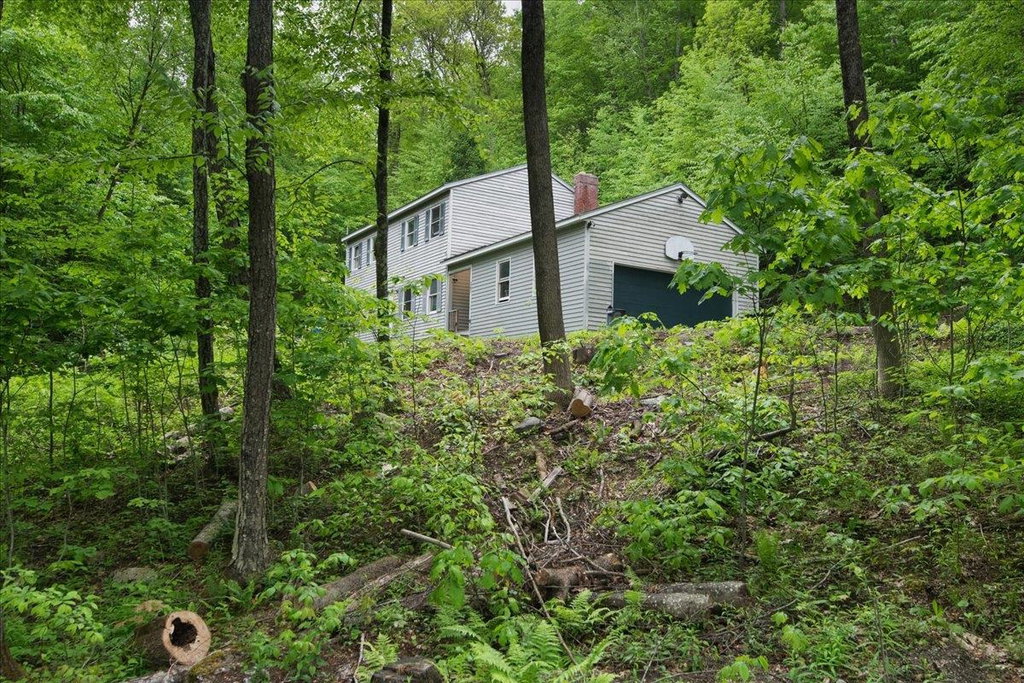 Media Image 1