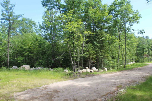 Media Image 3
