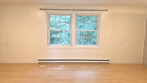 Media Image 3