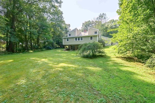 Media Image 2