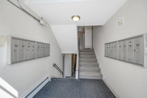 Media Image 3