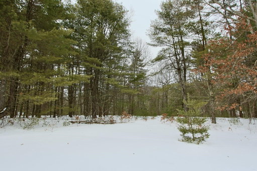 Media Image 3