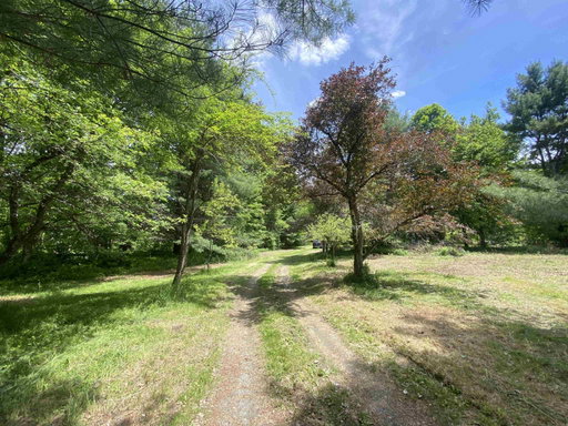 Media Image 2